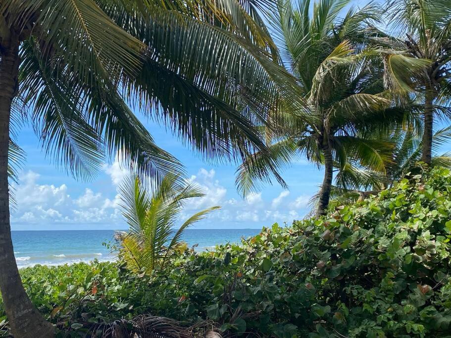 Вілла Ocean Breeze Punta Santiago Екстер'єр фото